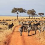 9-Day Kenya Road Safari