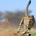 Hell's Gate National Park