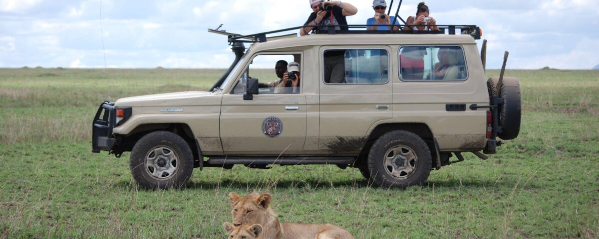 12-Day Tanzania Wildlife Safari