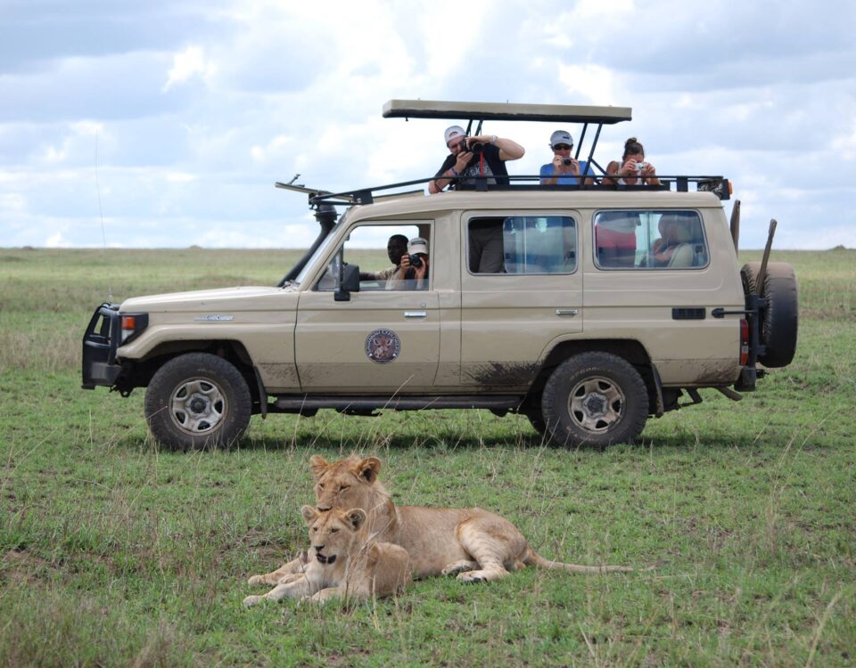 12-Day Tanzania Wildlife Safari