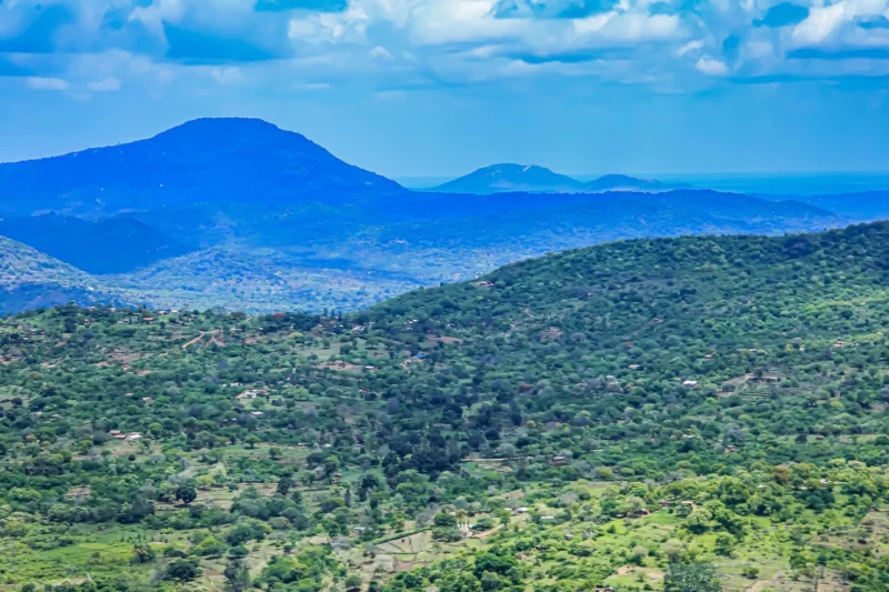 Taita Hills Wildlife Reserve