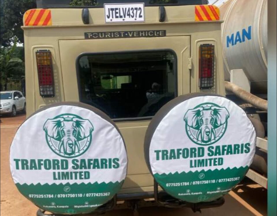 Traford Safari Cars