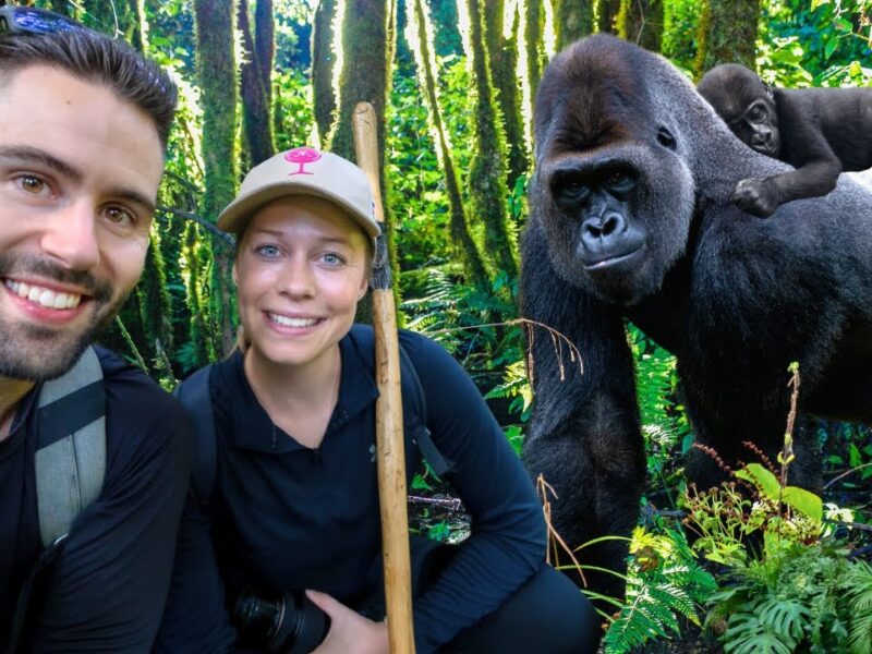 7-Day Uganda Romantic Gorilla & Savannah Honeymoon Safari.